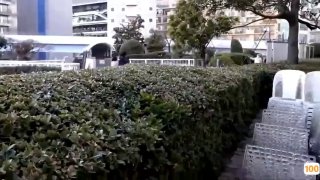亚洲中文久久精品无码91潜规则邓紫棋